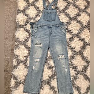 Wild Fable Distressed Overalls